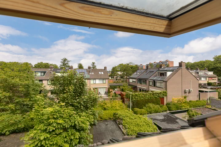 Foto 34 van Domela Nieuwenhuisstraat 14