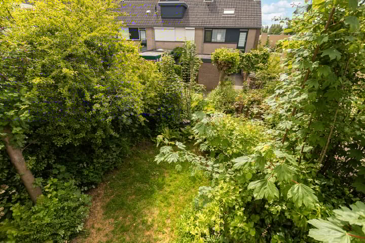 Foto 42 van Domela Nieuwenhuisstraat 14