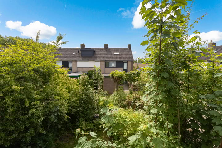 Foto 43 van Domela Nieuwenhuisstraat 14