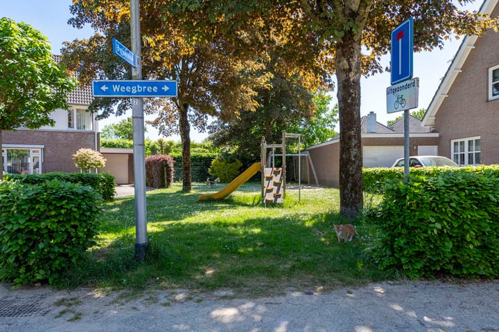 Foto 44 van Weegbree 32