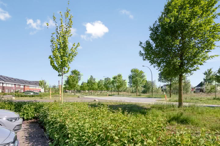 Foto 8 van Honingbes 42