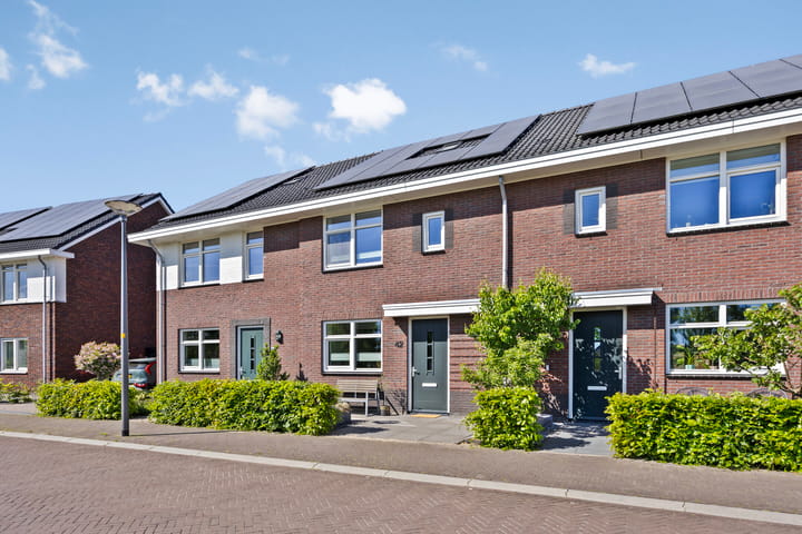 Foto 7 van Honingbes 42