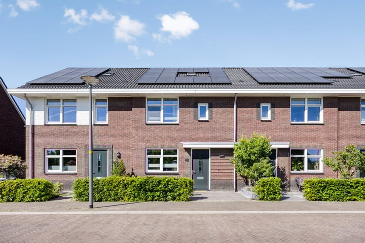 Foto 1 van Honingbes 42