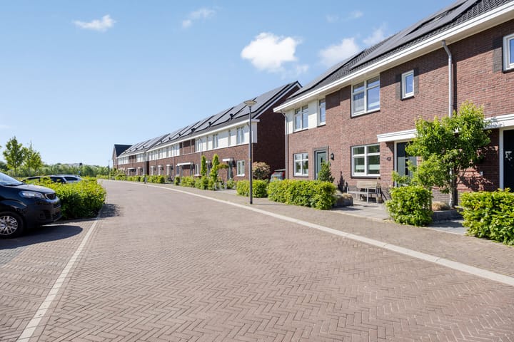 Foto 31 van Honingbes 42