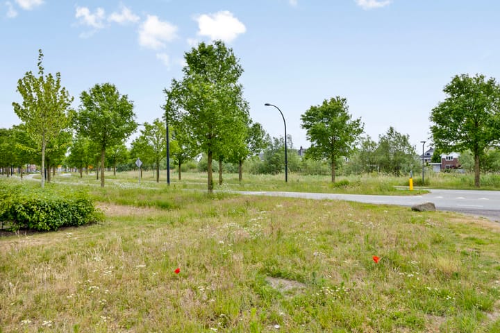 Foto 32 van Honingbes 42