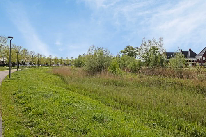 Foto 33 van Honingbes 42