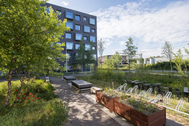 Foto 2 van Wisselstraat 50