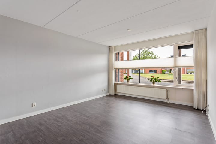 Foto 3 van Kokerjuffer 22