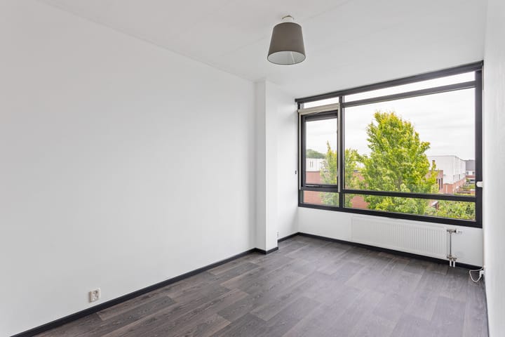 Foto 13 van Kokerjuffer 22