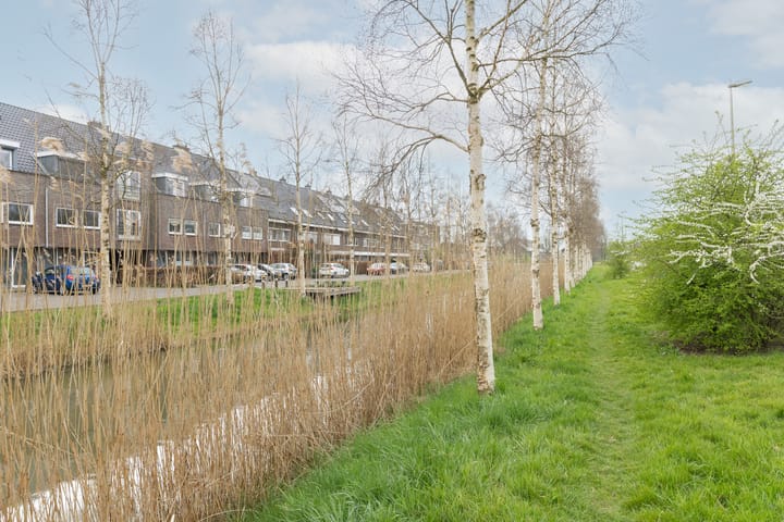 Foto 37 van Paardenbloemsingel 73