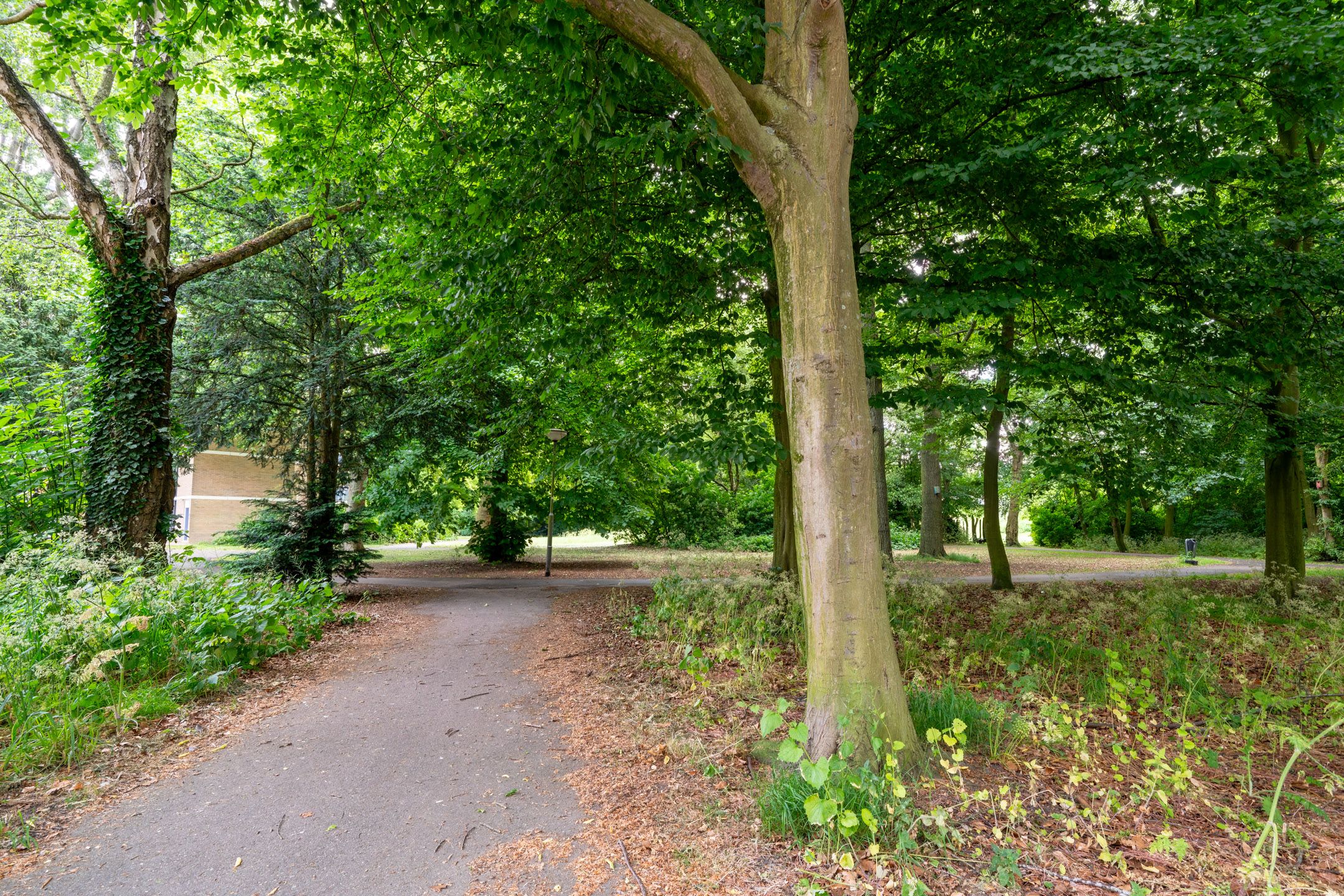 Foto 24 van Burgemeester Stulemeijerlaan 61