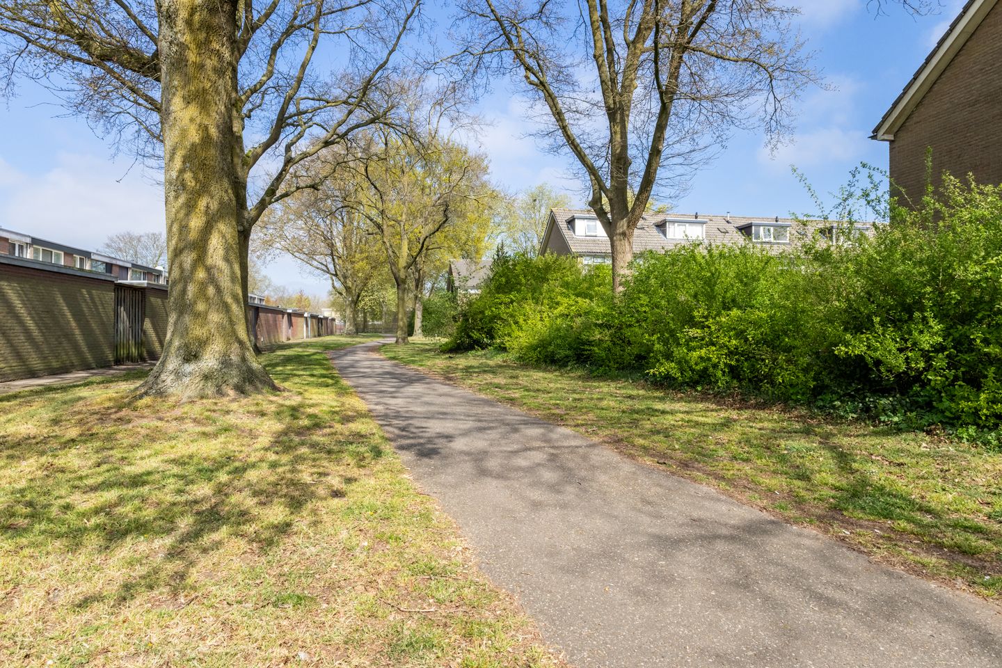 Foto 40 van Wagenaarstraat 31