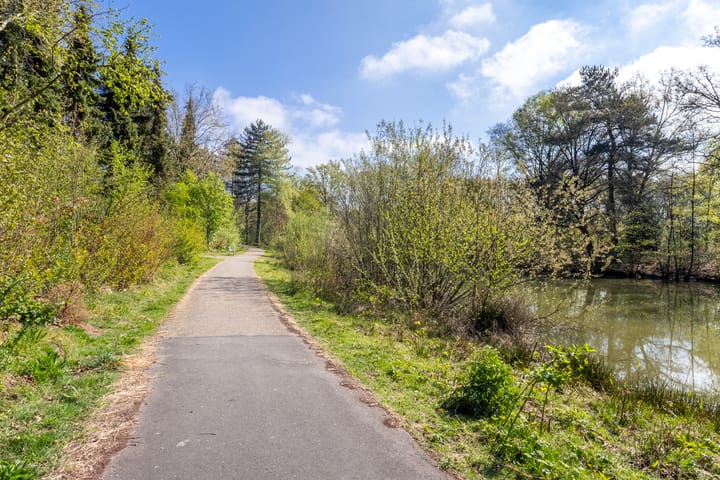 Foto 44 van Wagenaarstraat 31