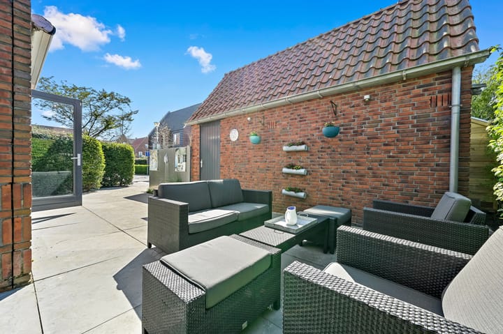 Foto 24 van Rietgras 64