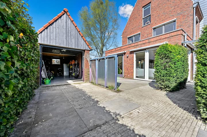 Foto 29 van Rietgras 64