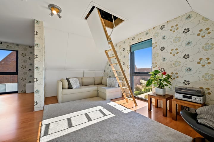 Foto 48 van Rietgras 64