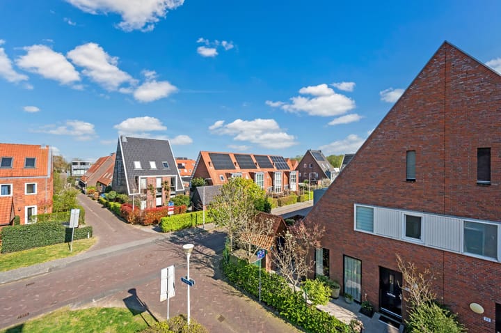 Foto 54 van Rietgras 64