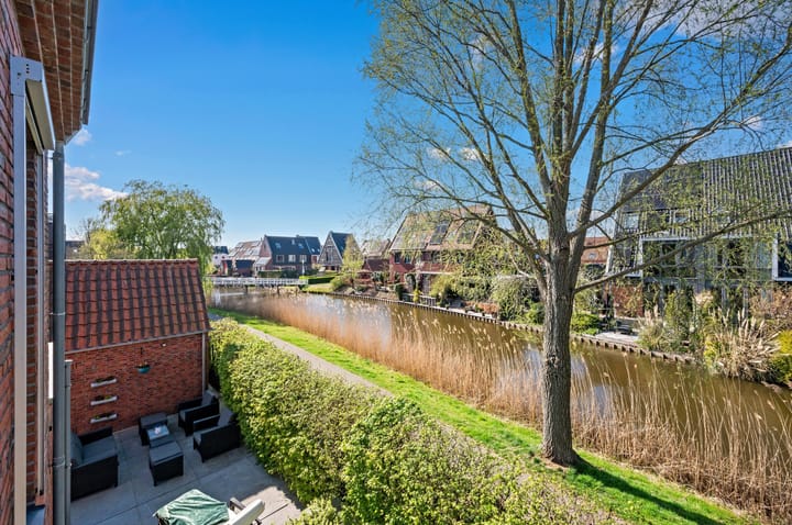 Foto 51 van Rietgras 64