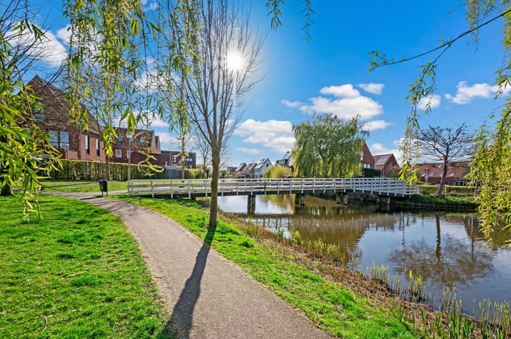 Foto 60 van Rietgras 64