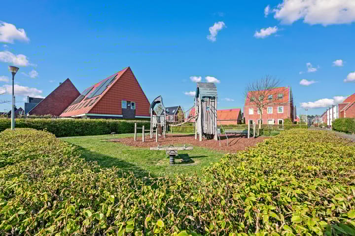 Foto 59 van Rietgras 64