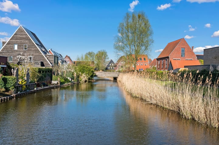 Foto 62 van Rietgras 64