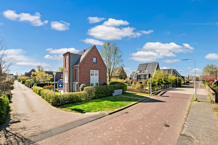 Foto 50 van Rietgras 64