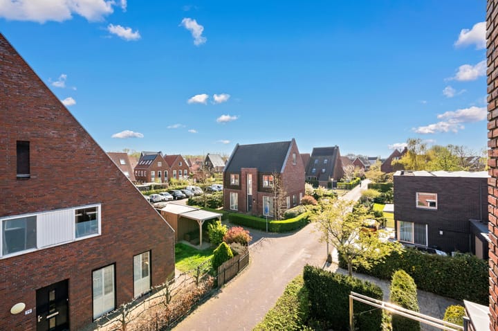 Foto 55 van Rietgras 64