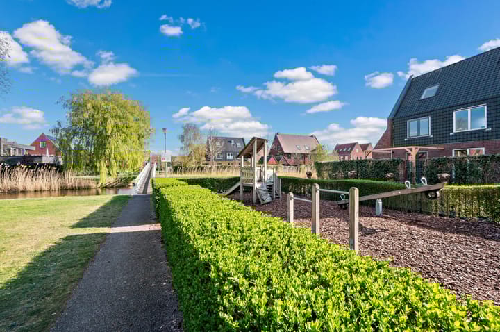 Foto 61 van Rietgras 64