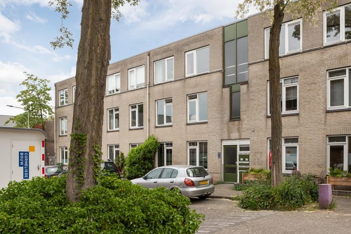 Ridderspoor 26