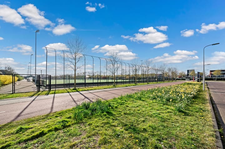 Foto 58 van Rietgras 64