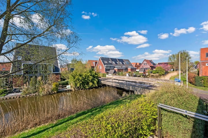 Foto 52 van Rietgras 64