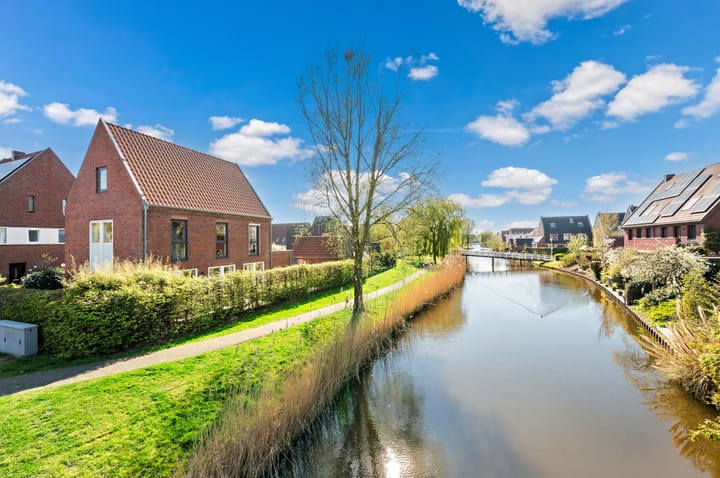 Foto 56 van Rietgras 64