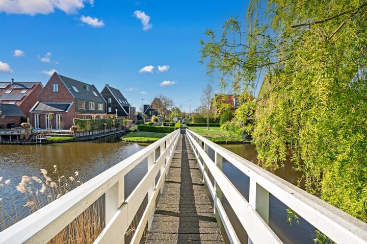 Foto 63 van Rietgras 64