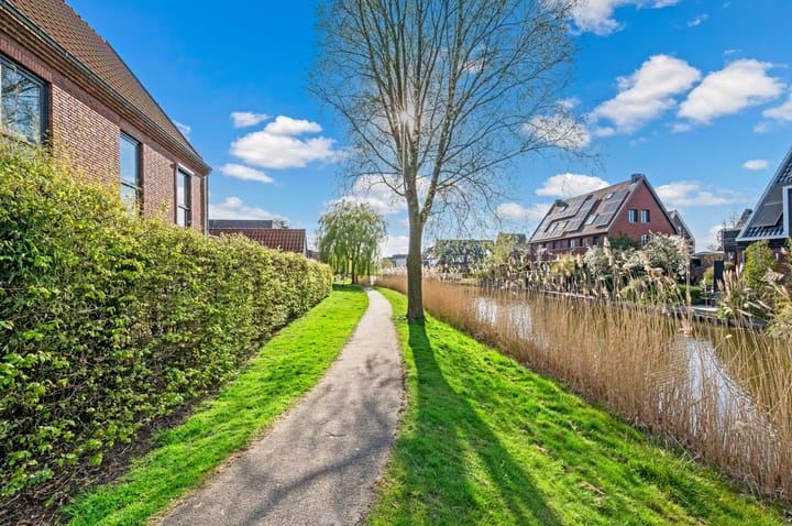 Foto 64 van Rietgras 64