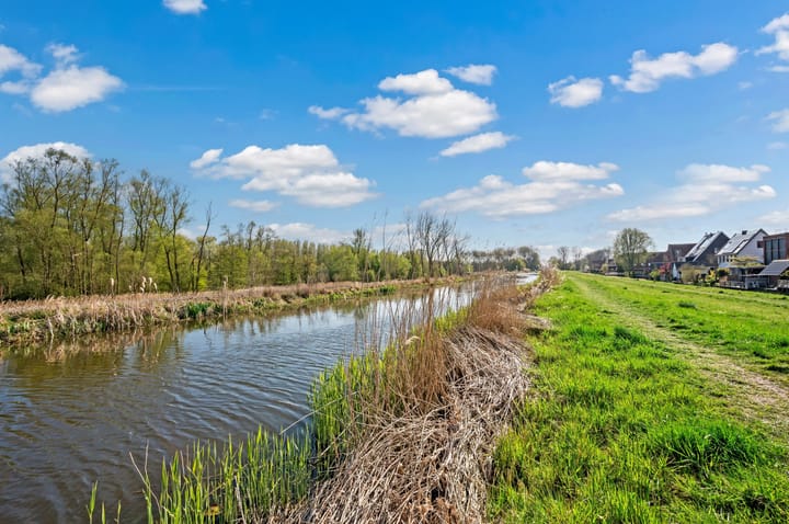 Foto 65 van Rietgras 64