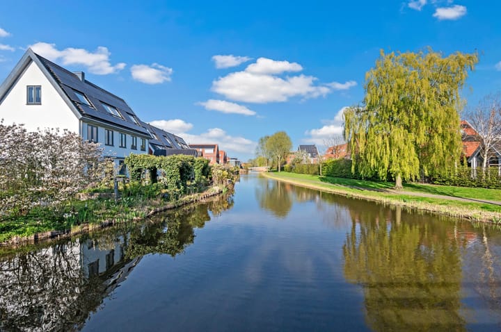 Foto 66 van Rietgras 64