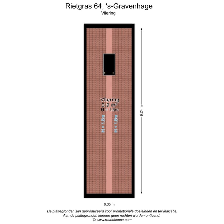 Foto 71 van Rietgras 64