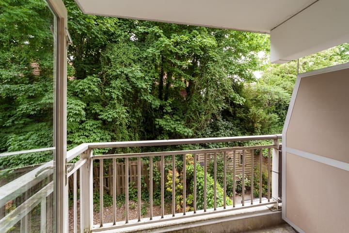 Foto 10 van Ridderspoor 26