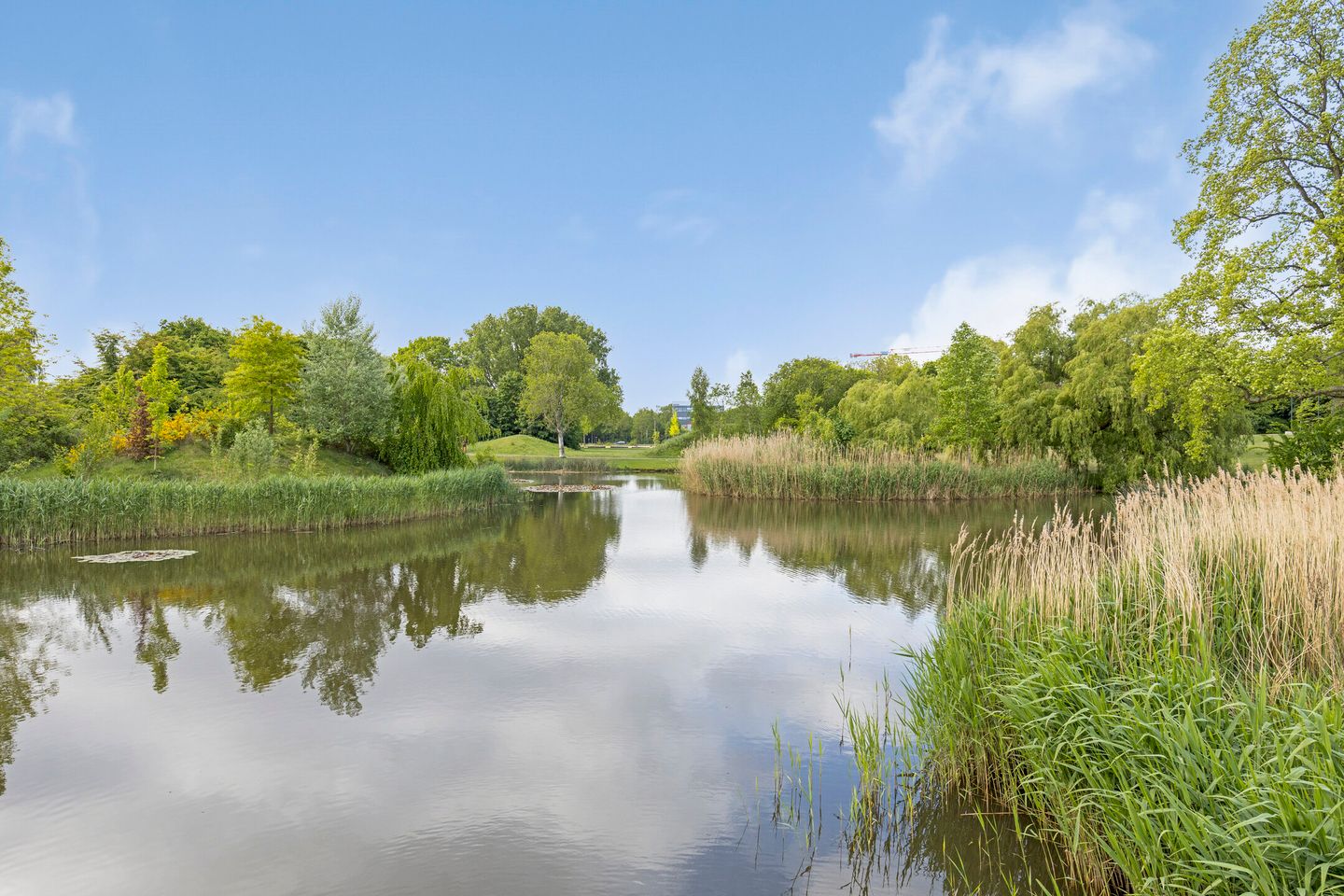 Foto 20 van Hertogenlaan 384