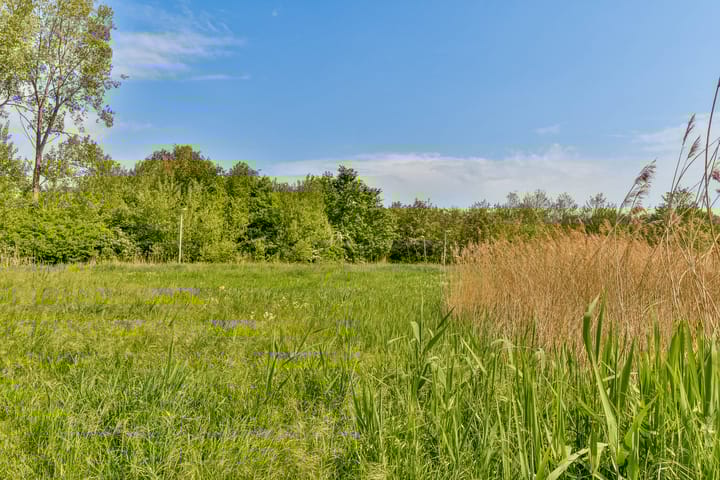 Foto 34 van Spitsbergen 55