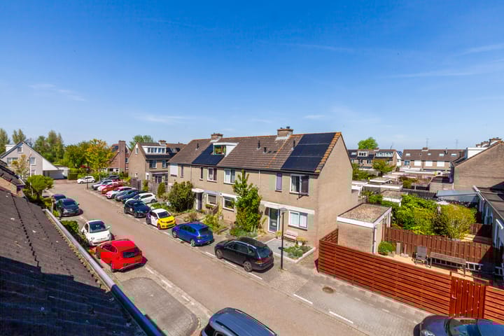 Foto 30 van Zeelt 100