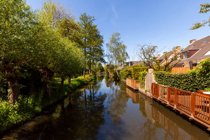 Foto 41 van Zeelt 100