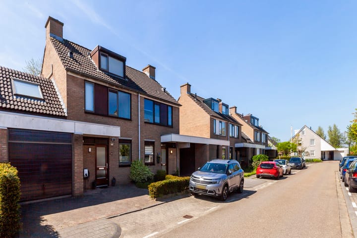 Foto 43 van Zeelt 100