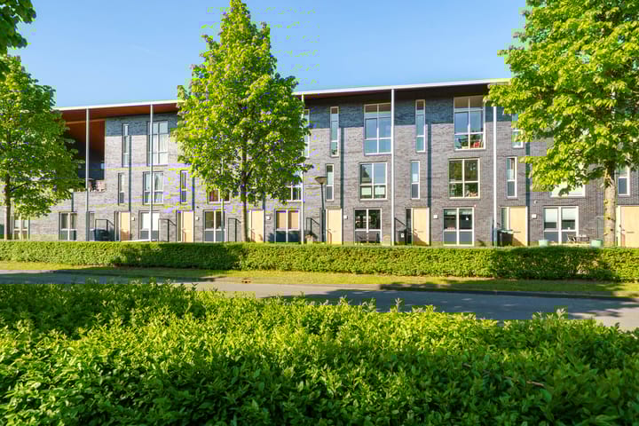 Foto 44 van Gangboord 4