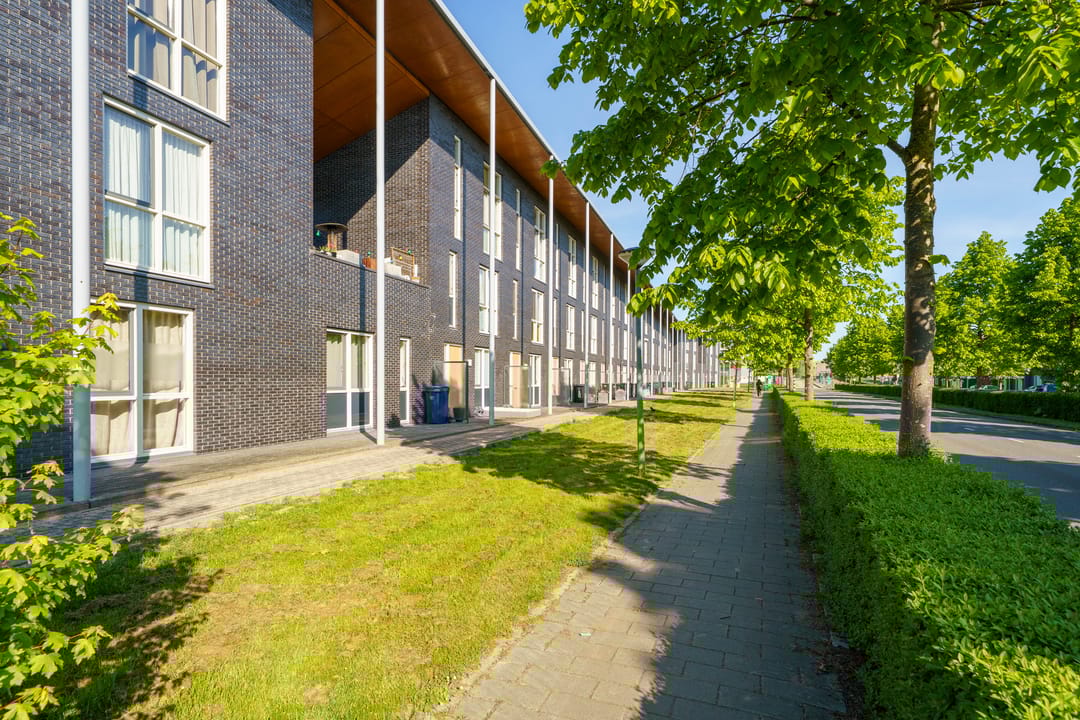 Foto 46 van Gangboord 4