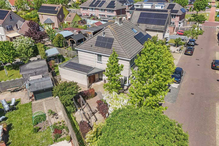 Foto 36 van Tholen 8