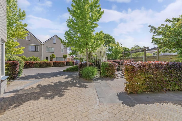 Foto 39 van Tholen 8