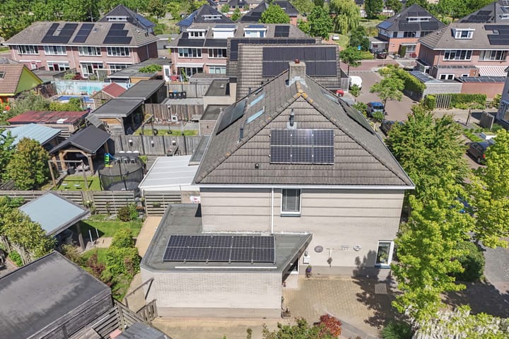 Foto 41 van Tholen 8