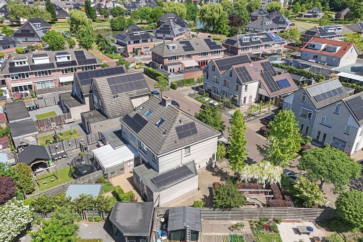 Foto 42 van Tholen 8