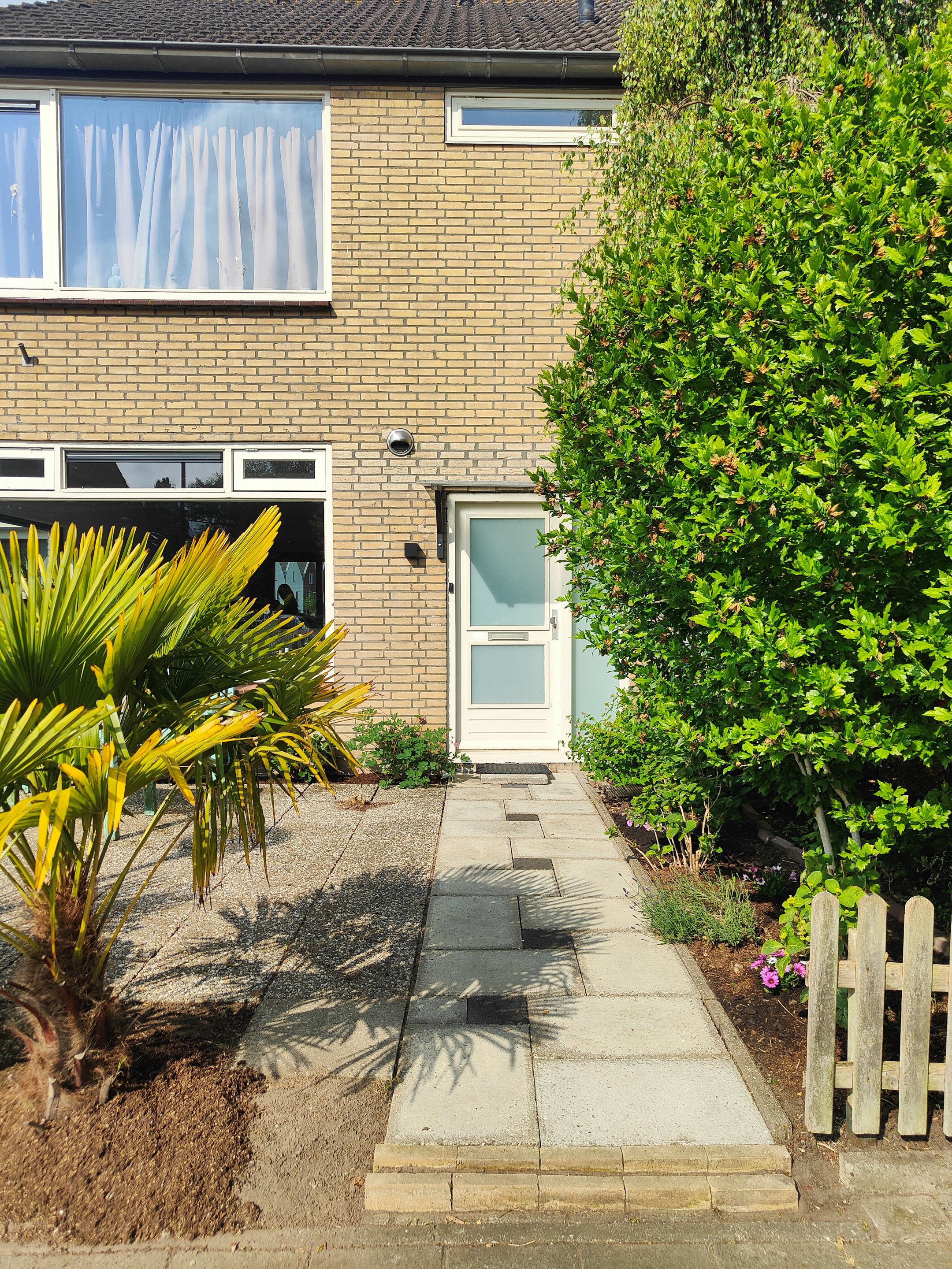 Foto 39 van Buitenhof 5